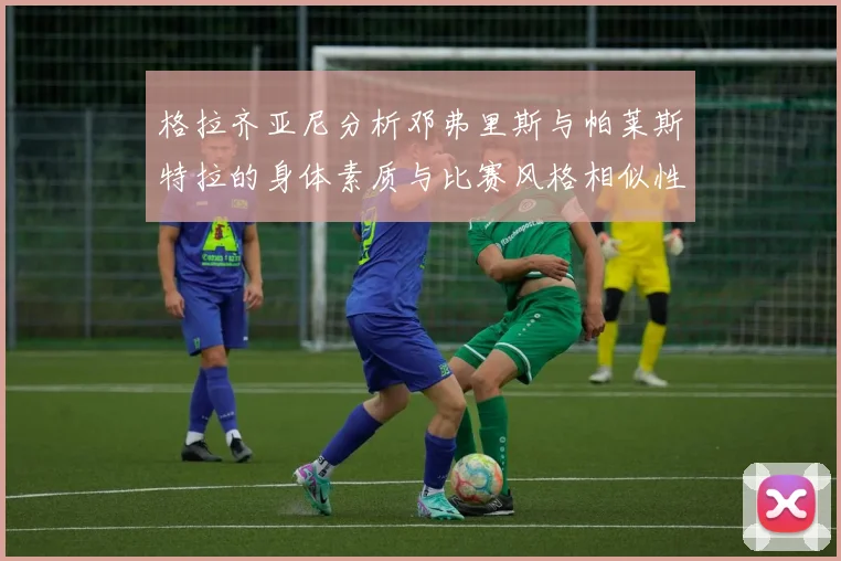 格拉齐亚尼分析邓弗里斯与帕莱斯特拉的身体素质与比赛风格相似性